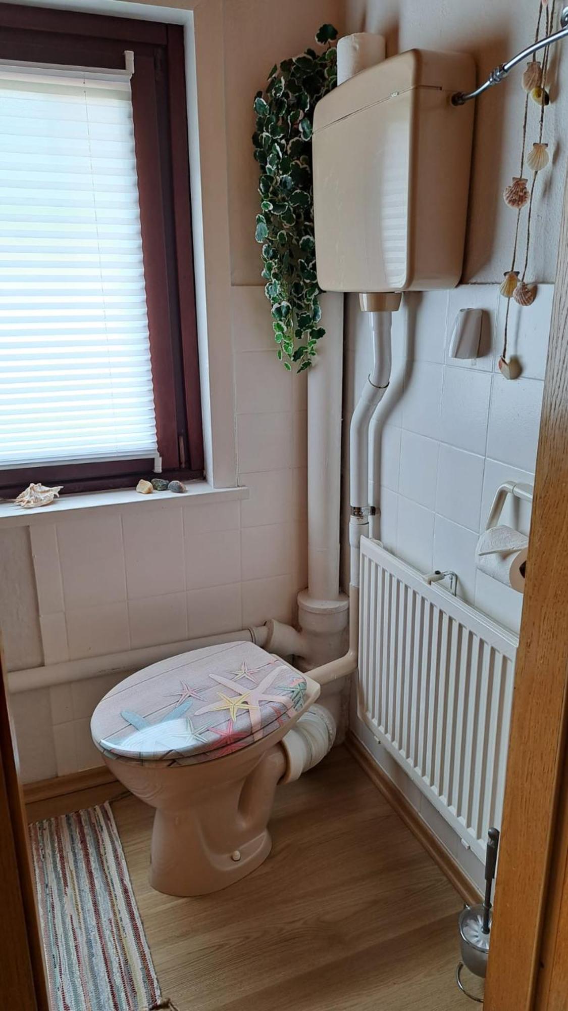 Ferienwohnung Friedrichsruh Braunlage Exteriör bild