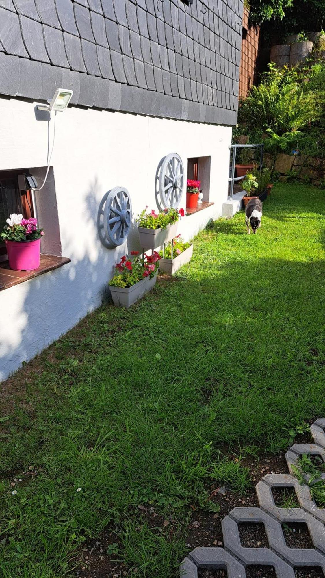 Ferienwohnung Friedrichsruh Braunlage Exteriör bild